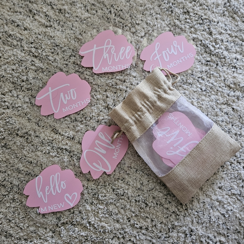 Monthly Milestone Baby Plaques